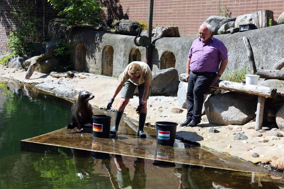 Der Leipziger Zoodirektor Jörg Junhold (60) und die Trainerin Bettina Hurgitsch begrüßten am Dienstagvormittag die gespannten Gäste zum EM-Orakel.