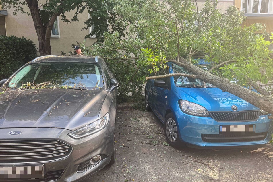 Der umgestürzte Baum richtete beim blauen Skoda großen Schaden an.