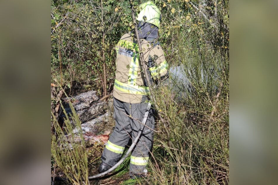 Die Feuerwehr löschte den Brand noch am selben Tag.