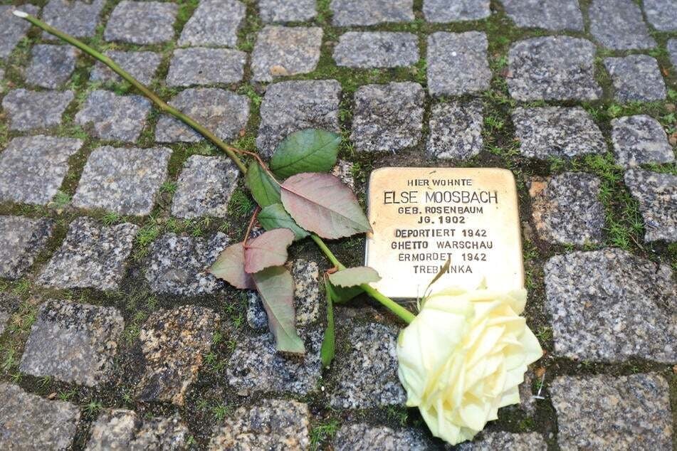 In Magdeburg gibt es derzeit über 850 Stolpersteine. (Symbolbild)