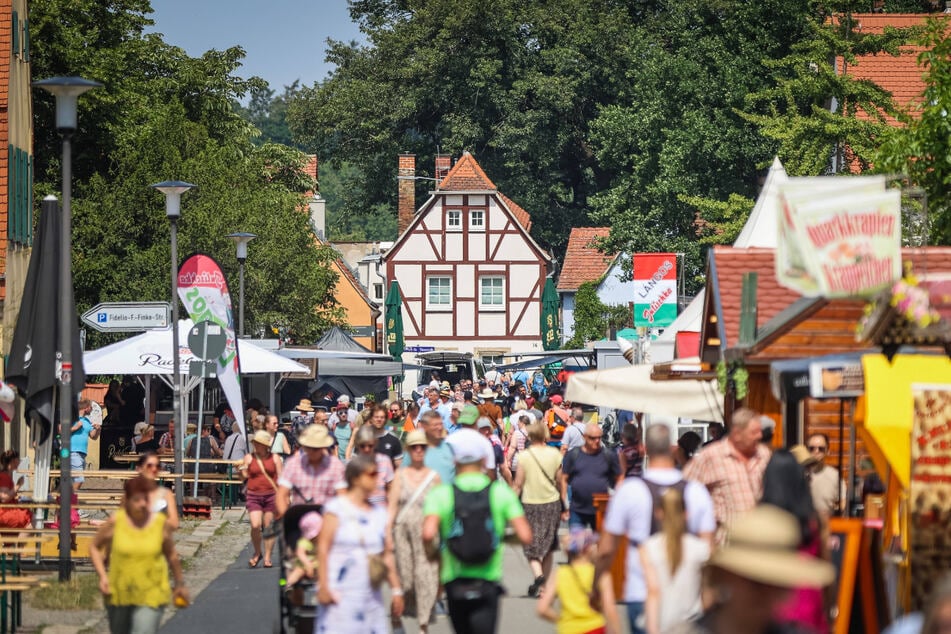 Rechts und links von der Pillnitzer Landstraße wird auch in diesem Jahr gefeiert.