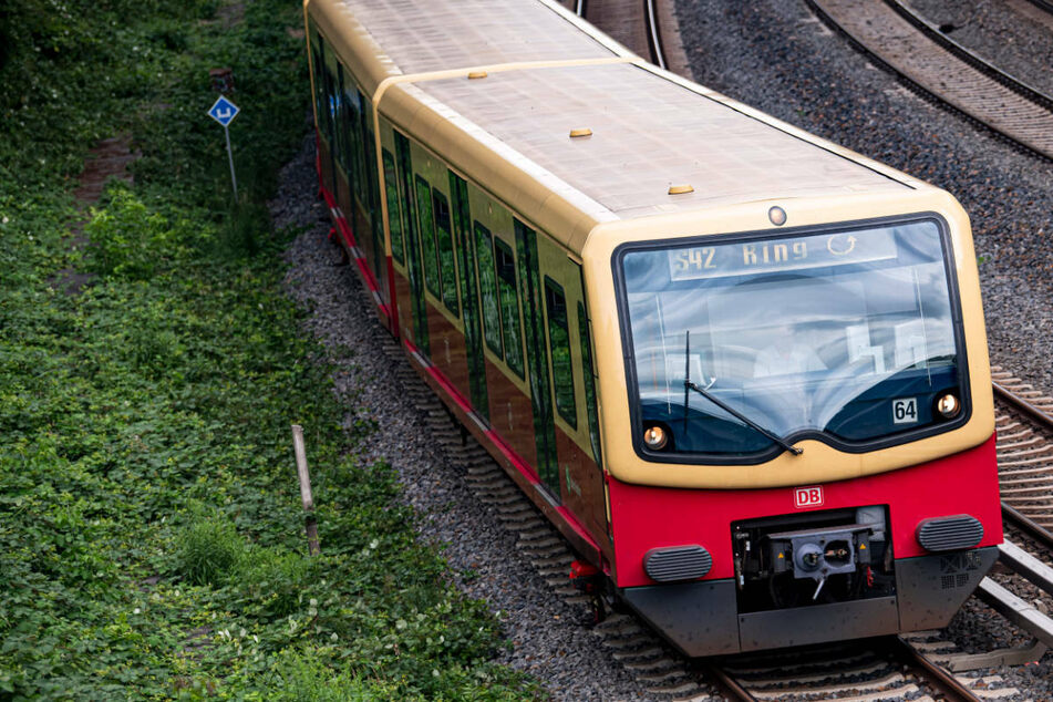 Berlin: 25-Jähriger greift Frau (30) in Berliner S-Bahn zwischen die Beine: U-Haft