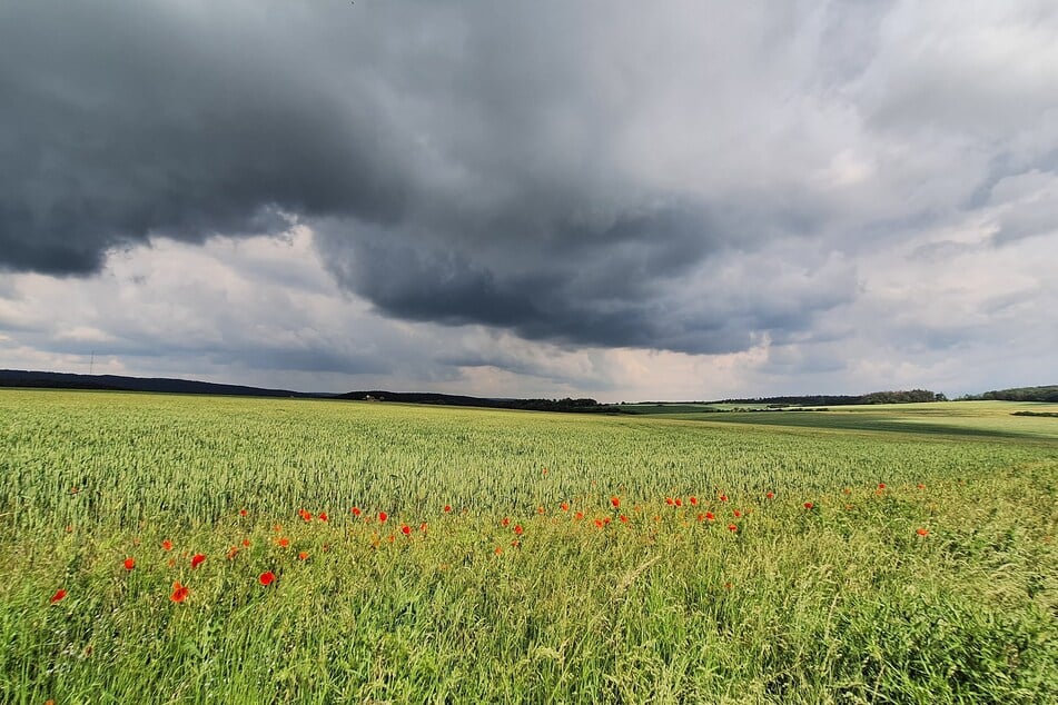 In Thüringen kann es am Samstag wieder zu kräftigen Gewittern kommen. Unwetterartige Entwicklungen kann es bereits am Nachmittag und Abend geben. (Symbolbild)