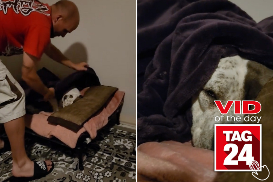 In Today's Viral Video of the Day, a man shows just a glimpse of the lengths he will go for his best doggy pal.