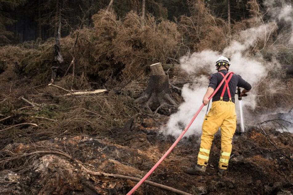 Inferno zerstört 3000 Hektar Wald im Hohen Venn: Erster Verdacht zur Brandursache