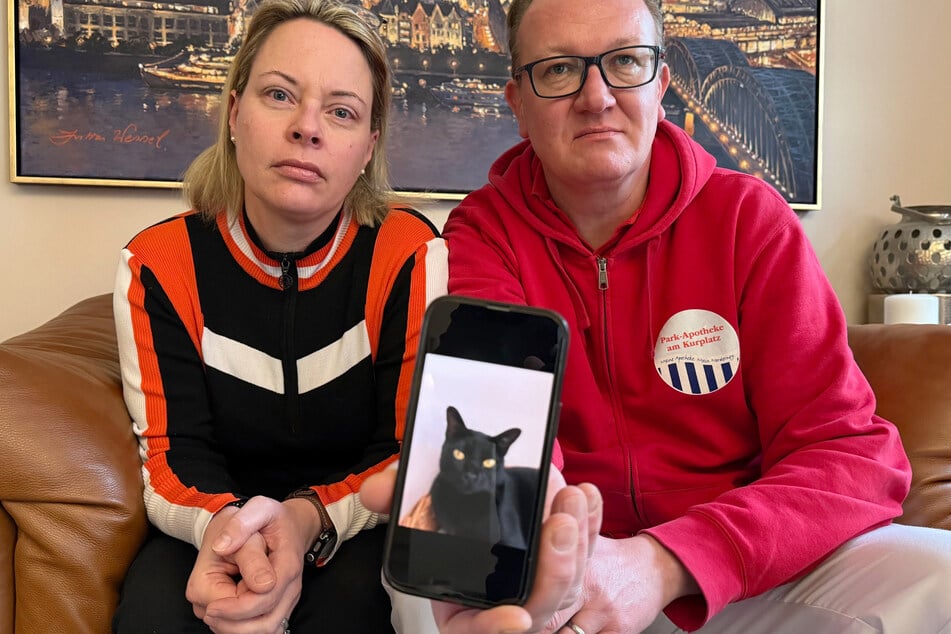 Catharina Majert und ihr Mann Gunnar zeigen auf einem Smartphone ein Foto ihrer Bombay-Katze Aramis.