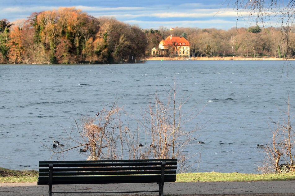 Beim Spaziergang am Tegeler See in Berlin-Reinickendorf sollten Hunde zurzeit lieber an der Leine laufen. (Archivfoto)