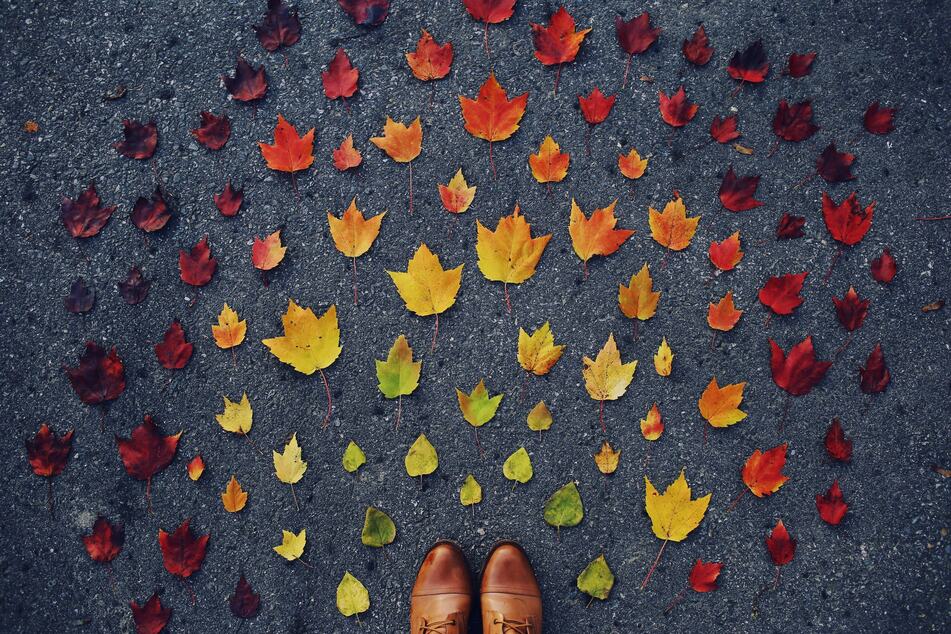 Spruch des Tages vom 2.11.2025 - Tägliche Inspiration von TAG24