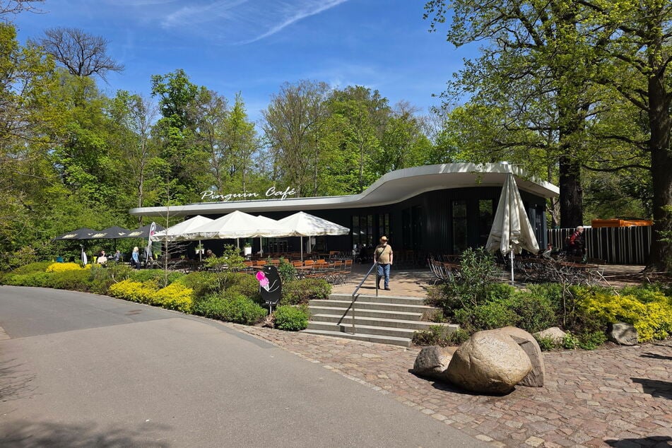 Künftig könnten Abendveranstaltungen im Pinguin Café stattfinden. Die Weiße Flotte als Gastro-Pächter will zwei Millionen Euro investieren.