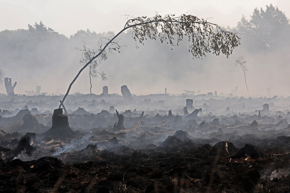Das abgebrannte Torfmoorgebiet. Das Feuer war am Dienstagmittag im Ödland ausgebrochen und hatte auf den Wald und das benachbarte Moorgebiet übergegriffen.