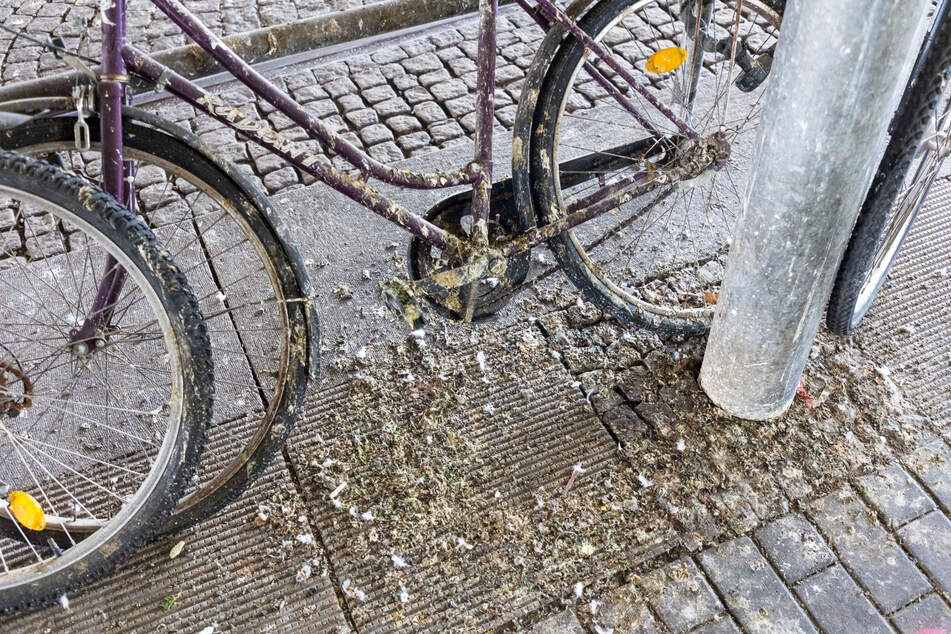 Nicht nur schädlich für Fahrrad und Pflaster, sondern auch für die Gesundheit: Taubenkot ist fast überall zu sehen.