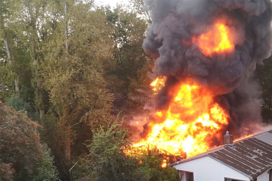 Hamburg: Erneuter Großbrand in Hamburg! Feuerwehrmann bei Einsatz verletzt