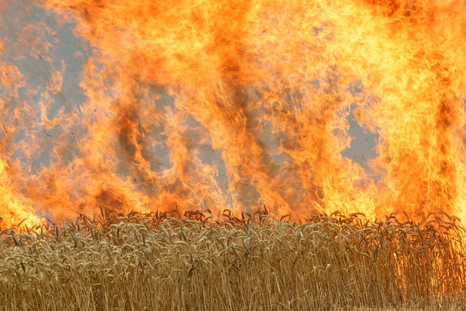 Das Feuer in dem Getreidelager wütet auch am Freitagmorgen noch. (Symbolbild)