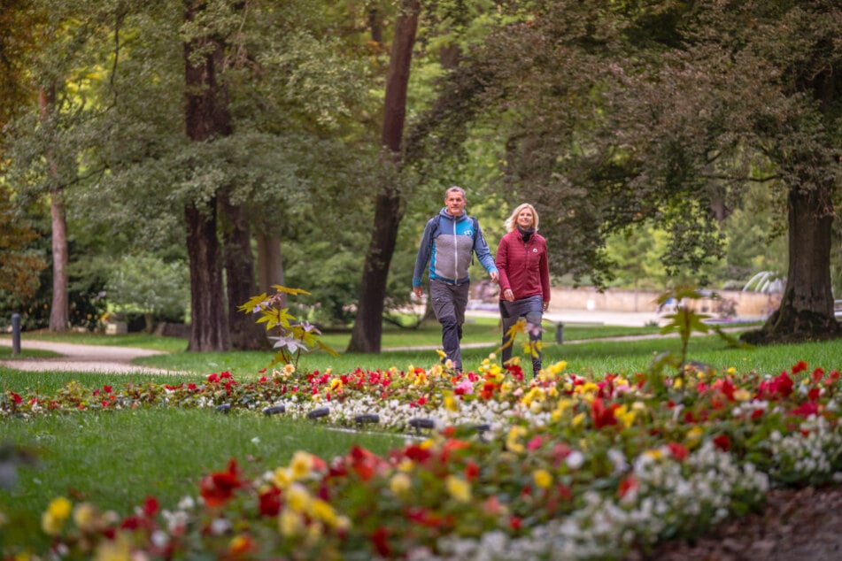 Warum in die Ferne schweifen? Wandern im Vogtland kann 2026 eine perfekte Ferienbeschäftigung sein.