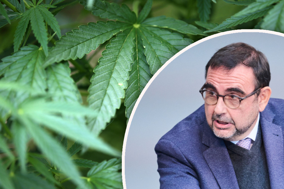 Holetschek fordert: Scholz soll Cannabis-Legalisierung stoppen
