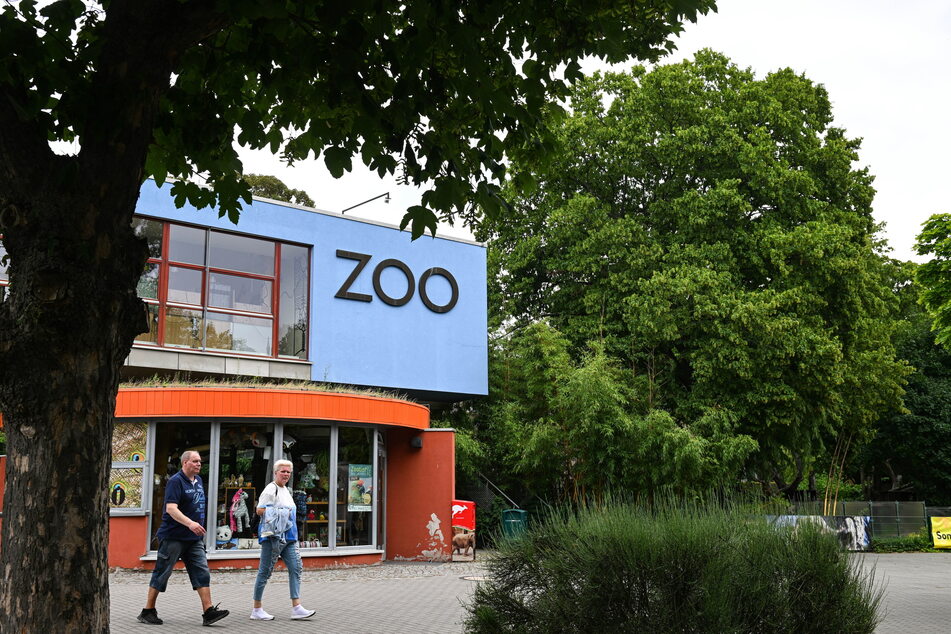 Wer den Dresdner Zoo besucht, muss sich zukünftig auf höhere Eintrittspreise einstellen.