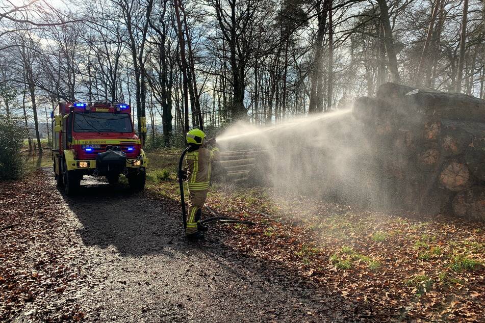 Eine Spaziergängerin informierte am Freitagmittag die Feuerwehr in Ratingen über einen Waldbrand an der Stadtgrenze zu Essen/Mülheim.