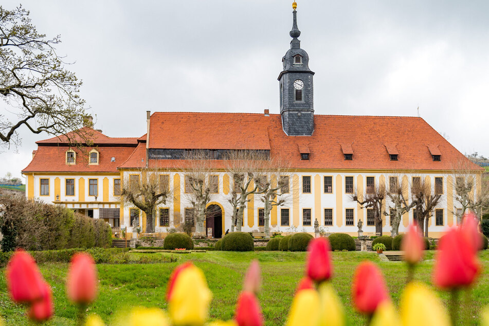 Erneuter Besitzerwechsel: Barockschloss Seußlitz bei Meißen steht zum Verkauf