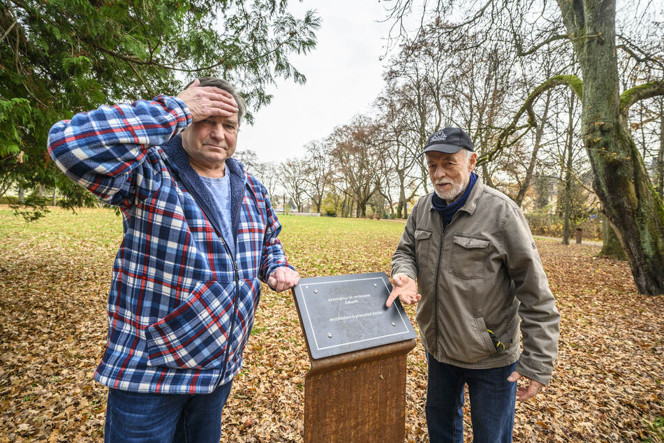 Michael Sandt (62) und Gerd Rehn (81) ärgern sich über die Übersetzungen auf den Schildern.