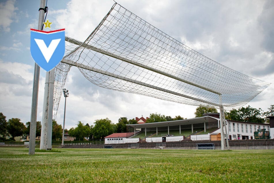 Viktoria Berlin sucht Stadionlösung nach Aufstieg: "Zeit läuft davon"