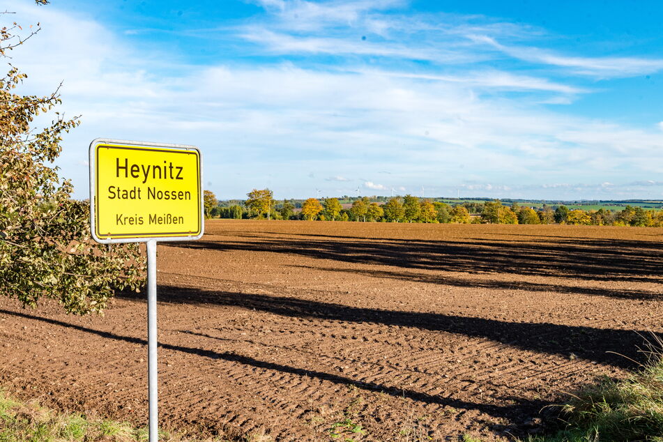 Auf ein Cannabis-Feld in Heynitz eilte die Polizei vorschnell zum Ernte-Einsatz.