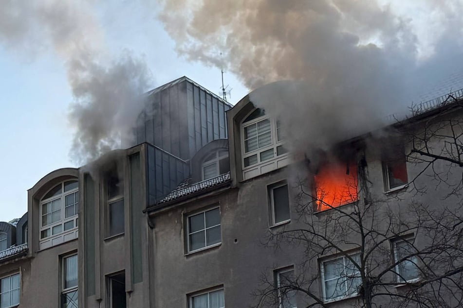 Berlin: Brand in Reinickendorf: Feuerwehr rettet sieben Menschen