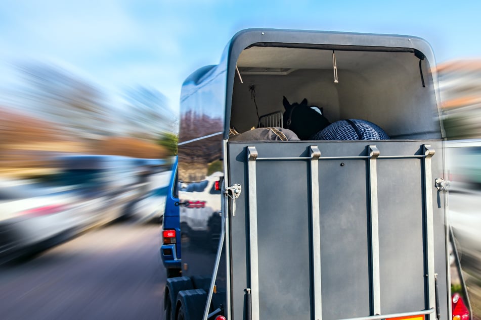 Ein Pferdetransport wurde in Mittelfranken von der Polizei unterbunden, weil das Gefährt überladen war. (Symbolbild)