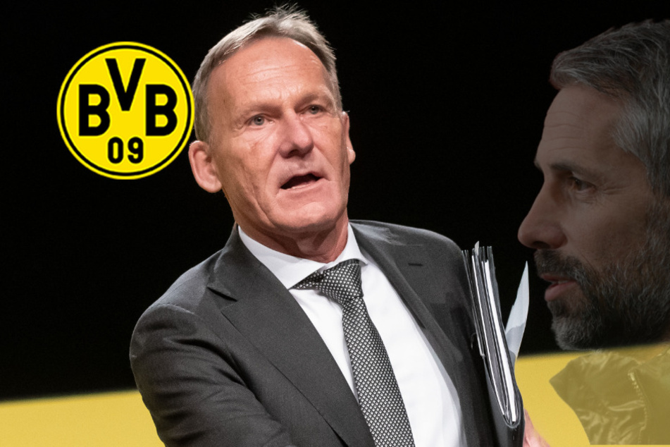 BVB-Trainerkandidaten Rose und Co.: Watzke äußert sich!
