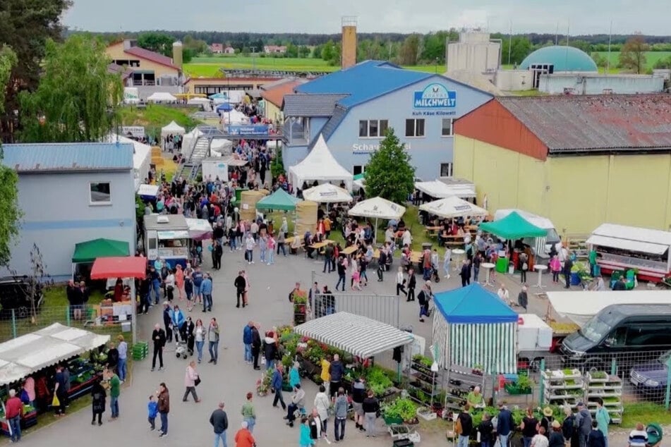 Am Sonntag lockt ein großer Bauernmarkt in die Krabat Milchwelt (Kreis Bautzen) mit 80 Ständen und regionalen Produkten.
