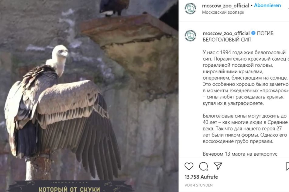 The zoo paid tribute to the bird with an Instagram video.