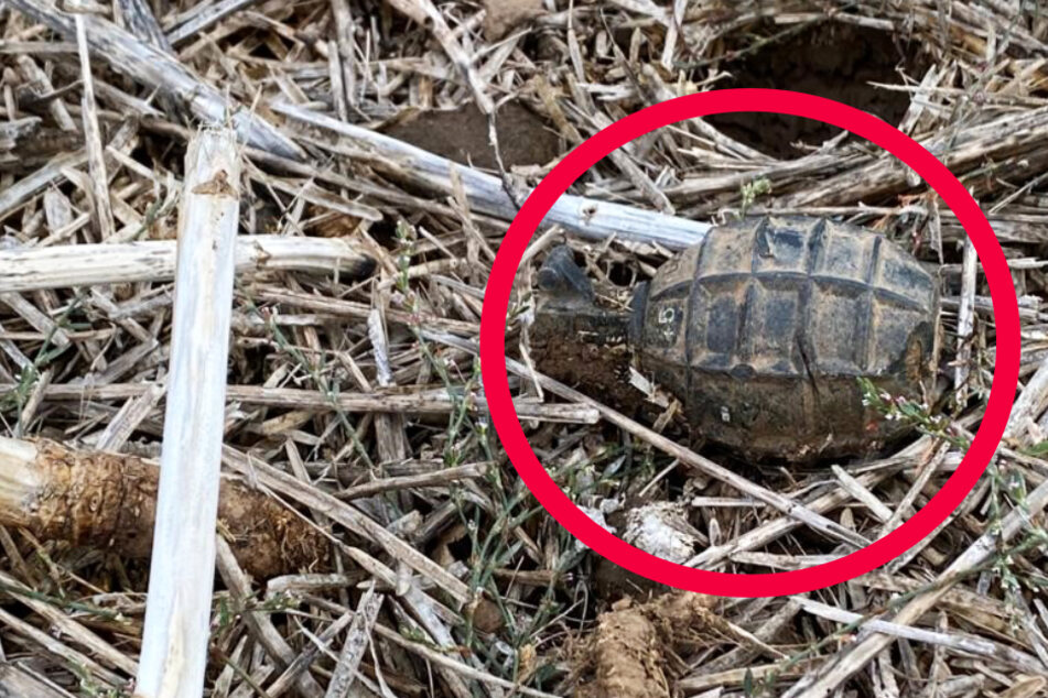 Das Foto zeigt die scharfe Handgranate, die am Sonntag in einem Feld bei Bischofsheim gefunden wurde.