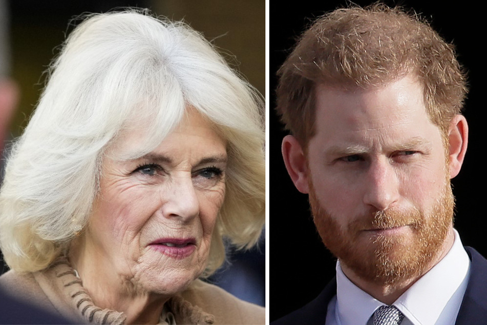 Königin Camilla (76) ist nicht gut auf Prinz Harry (39) zu sprechen.