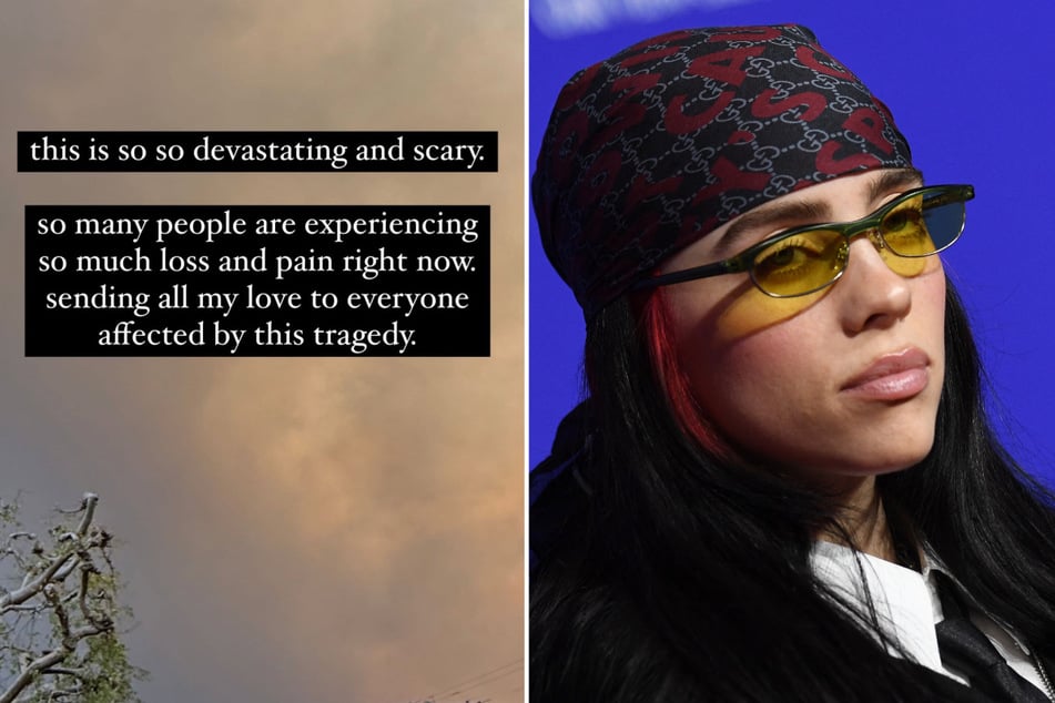 Singer Billie Eilish, a native of Los Angeles, shared her sorrow about the wildfires that are continuing to ravage the California city.