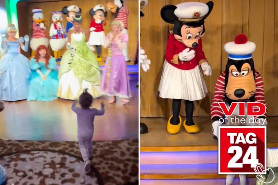 This toddler's whole year was made after getting to meet her favorite characters on a Disney cruise!