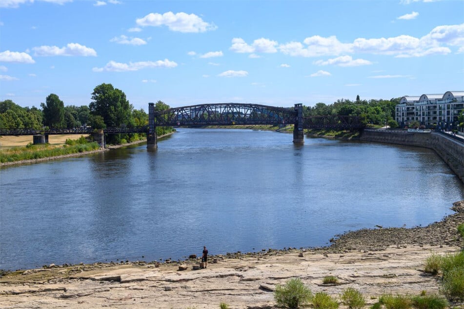 Die Magdeburger Elbe könnte bald so niedrig wie noch nie stehen.