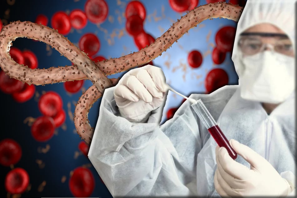 Forscher kreieren neues Horror-Virus, um offenbar Bio-Sicherheits-Standards zu umgehen