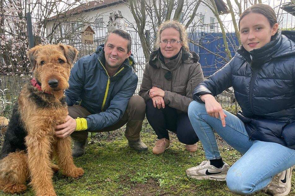 Mit einer konsequenten Erziehung könnte Buddy geholfen werden. Wird seine Familie das durchhalten?