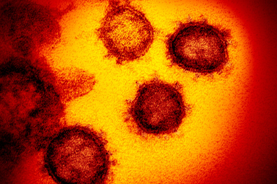 Das Coronavirus hält die Welt in Atem - Falschmeldungen machen alles nur noch schlimmer. 