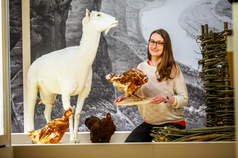 Kuratorin Stefanie Krihning (42) zeigt in der Ausstellung, dass man in der Festung nicht auf Fleisch, Eier und Milch verzichten musste.