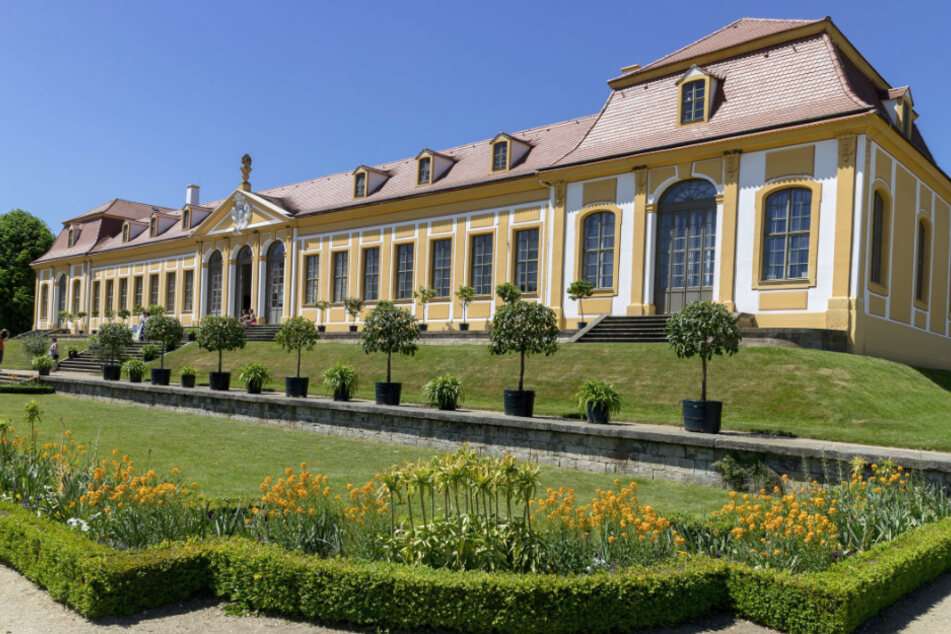Der Barockgarten Großsedlitz lädt zum Gärtnern ein.