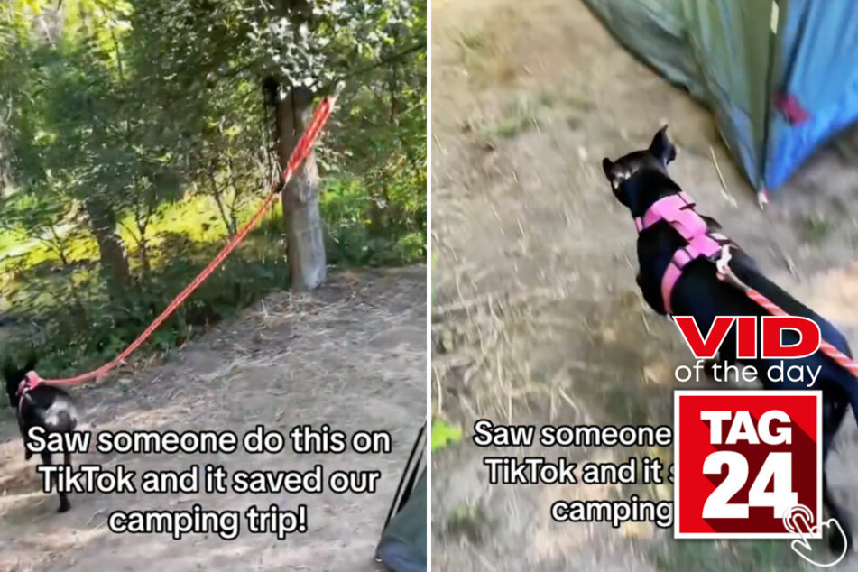 Today's Viral Video of the Day features a genius hack for dog owners who hate untangling their dogs leashes!