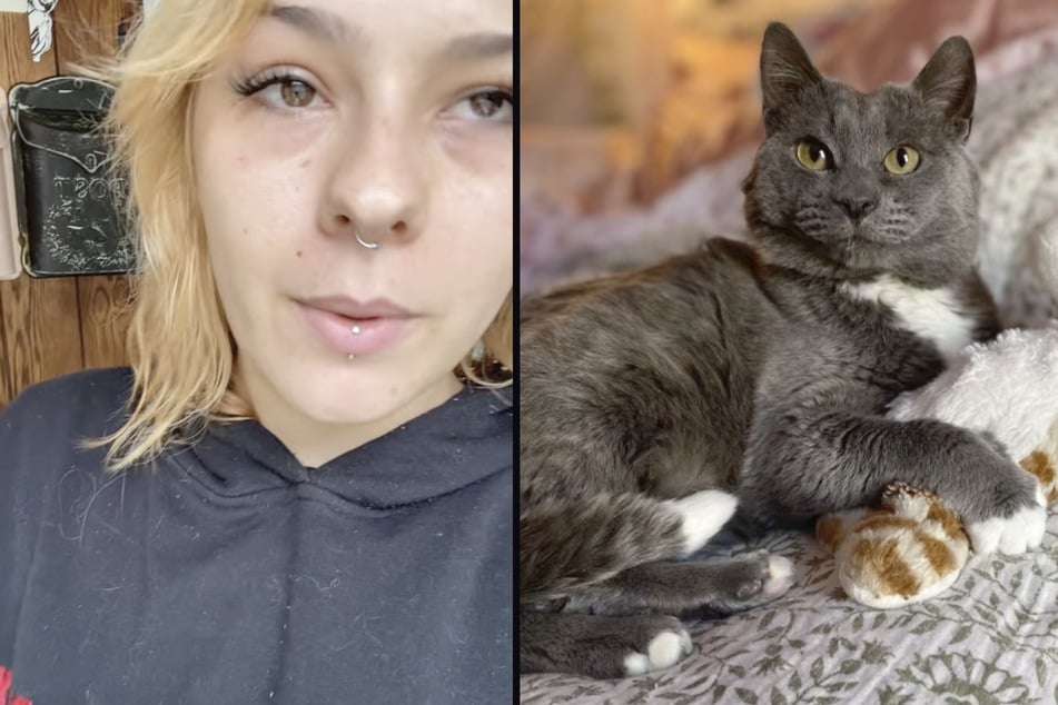 Drei Jahre später geht es Heather und auch dem verschreckten Tierheim-Kater wieder richtig gut.