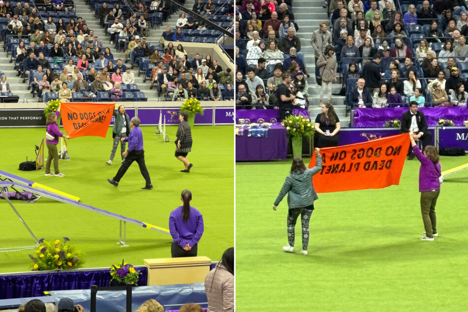 Climate activists with Extinction Rebellion disrupt the Westminster Kennel Club Dog Show, carrying a banner reading "No Dogs on a Dead Planet."