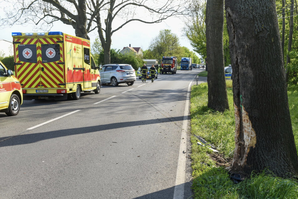 Auto kommt von Straße ab und kracht in Baum: Seniorin schwer verletzt