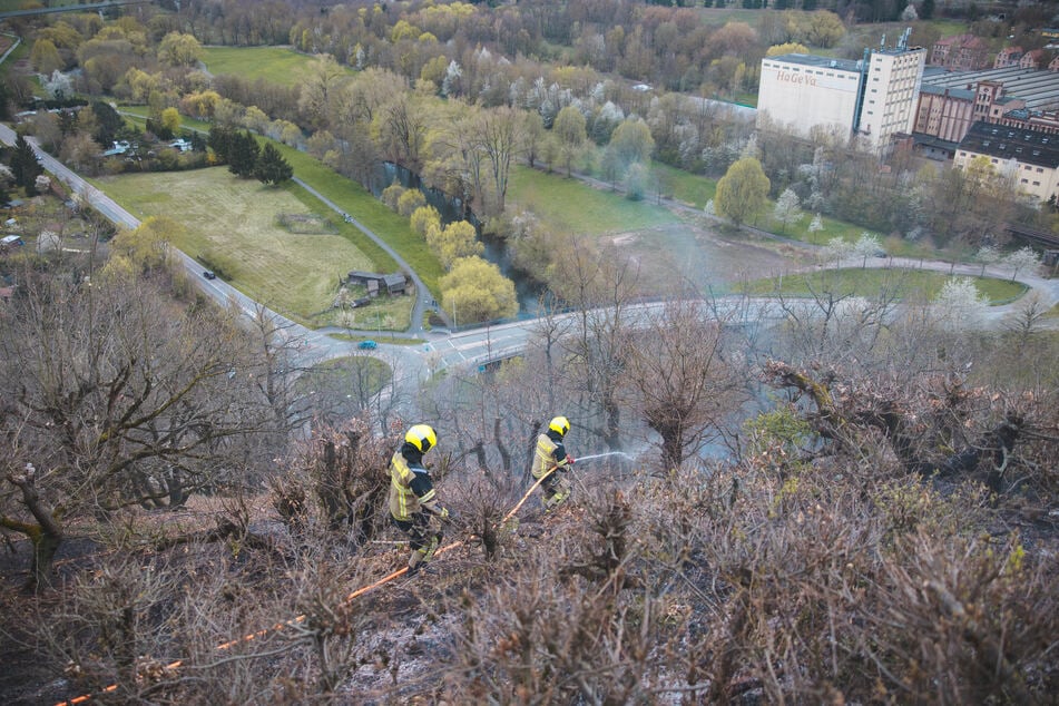 Die Feuerwehr war zügig vor Ort und konnte eine Ausbreitung des Feuers verhindern.