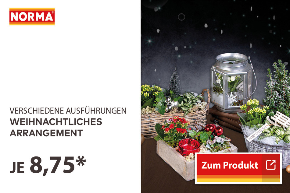 Weihnachtliches Arrangement für 8,75 Euro.