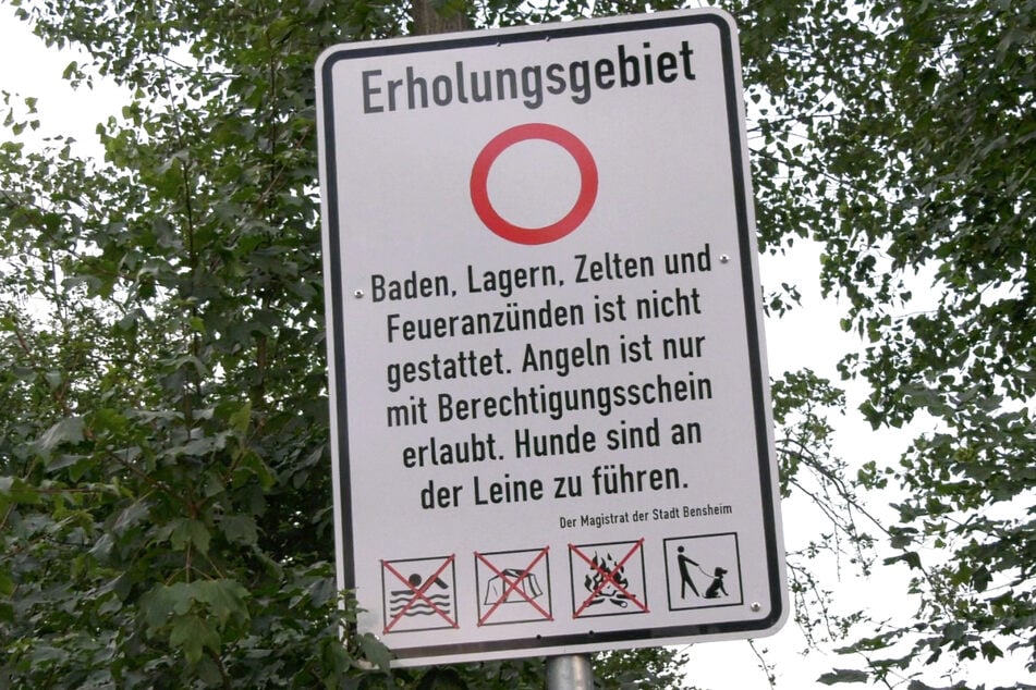 Das Foto zeigt eines von mindestens zwei unmissverständlichen Verbotsschildern am Niederwaldsee bei Zwingenberg.