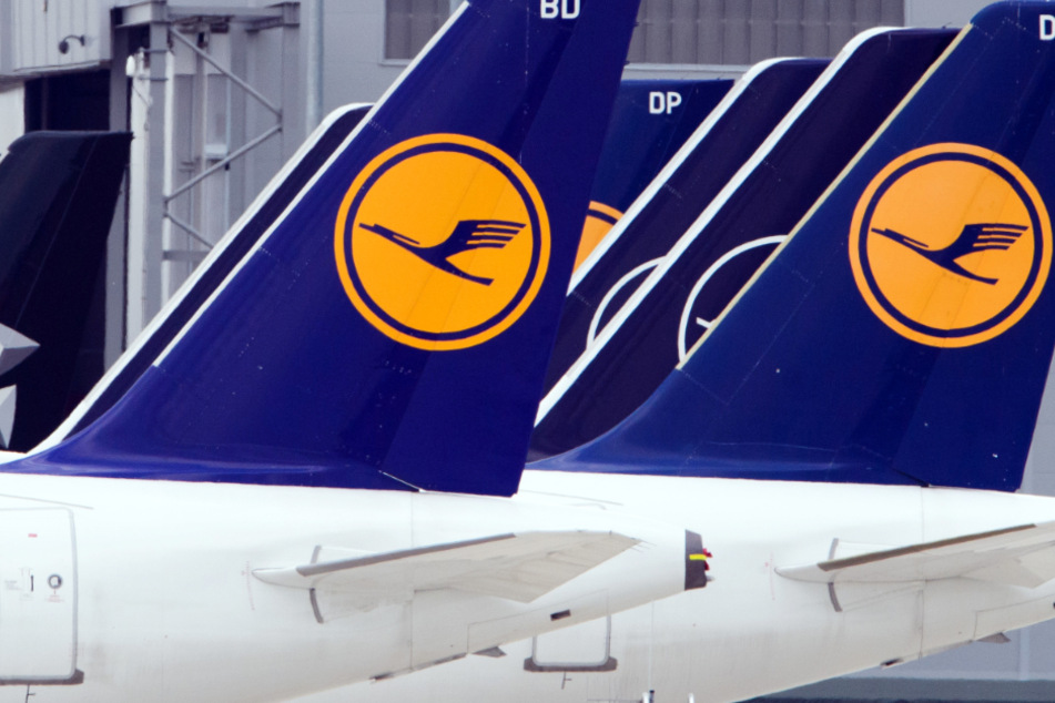 Flugzeuge der Fluggesellschaft Lufthansa stehen am Rand eines Rollfeldes nebeneinander.