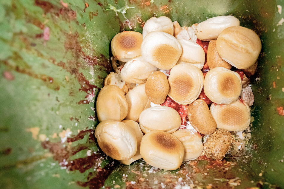 12 Tonnen Essen im Müll: Das will das Ministerium gegen Lebensmittel-Verschwendung tun