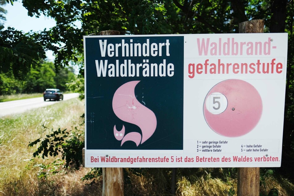 Sachsen: Waldbrandgefahr steigt gefährlich an!